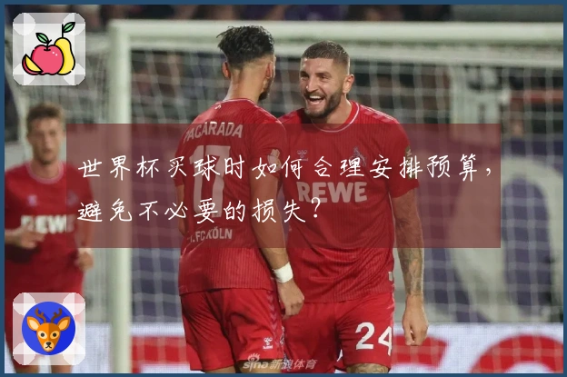 世界杯买球时如何合理安排预算，避免不必要的损失？