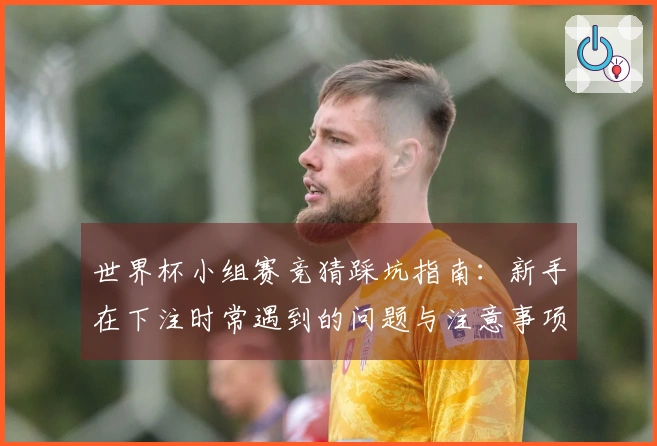 世界杯小组赛竞猜踩坑指南：新手在下注时常遇到的问题与注意事项